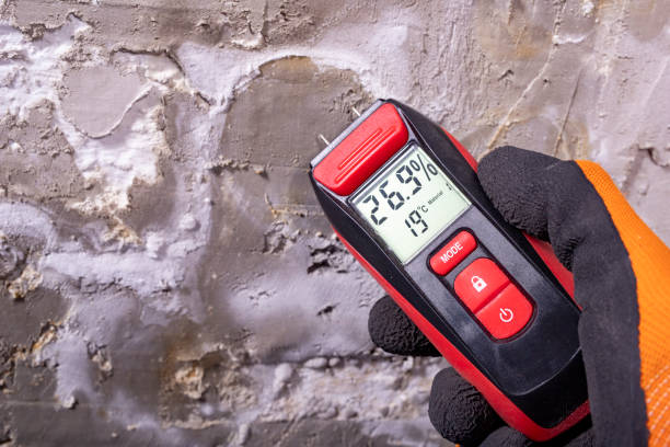Best Mold Testing  in Edgewood, NM